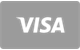 VibeBet Casino Visa